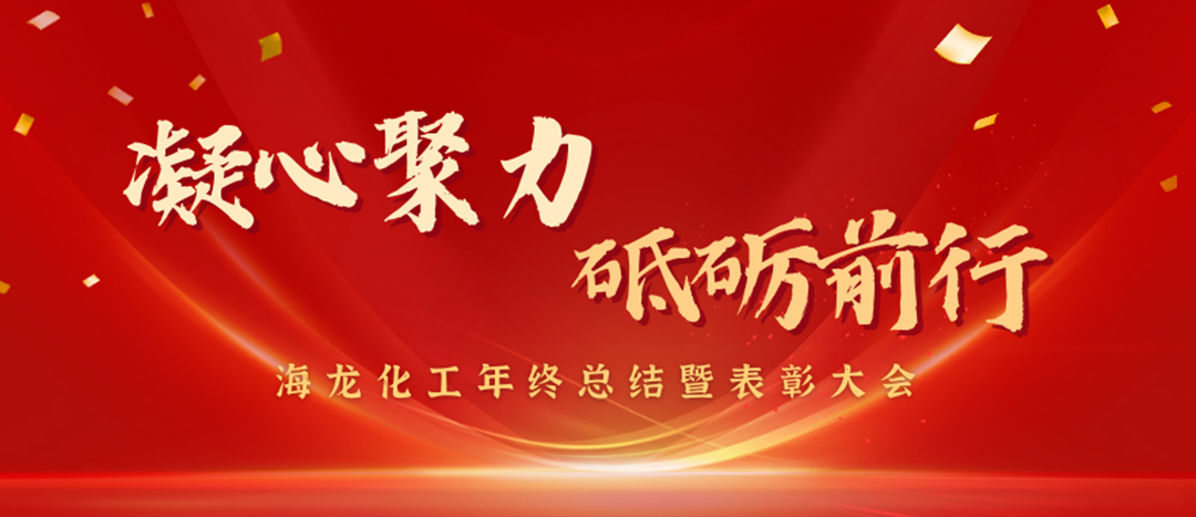 表彰 | 凝心聚力，砥礪前行，海龍化工年終總結(jié)暨表彰大會圓滿舉行